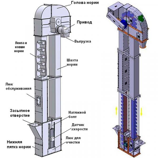 Ковшовый элеватор